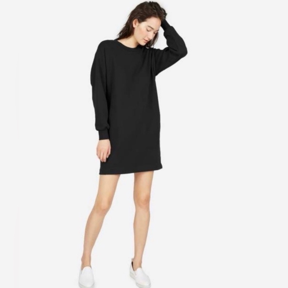 Everlane Sweatshirt Dress long sleeve